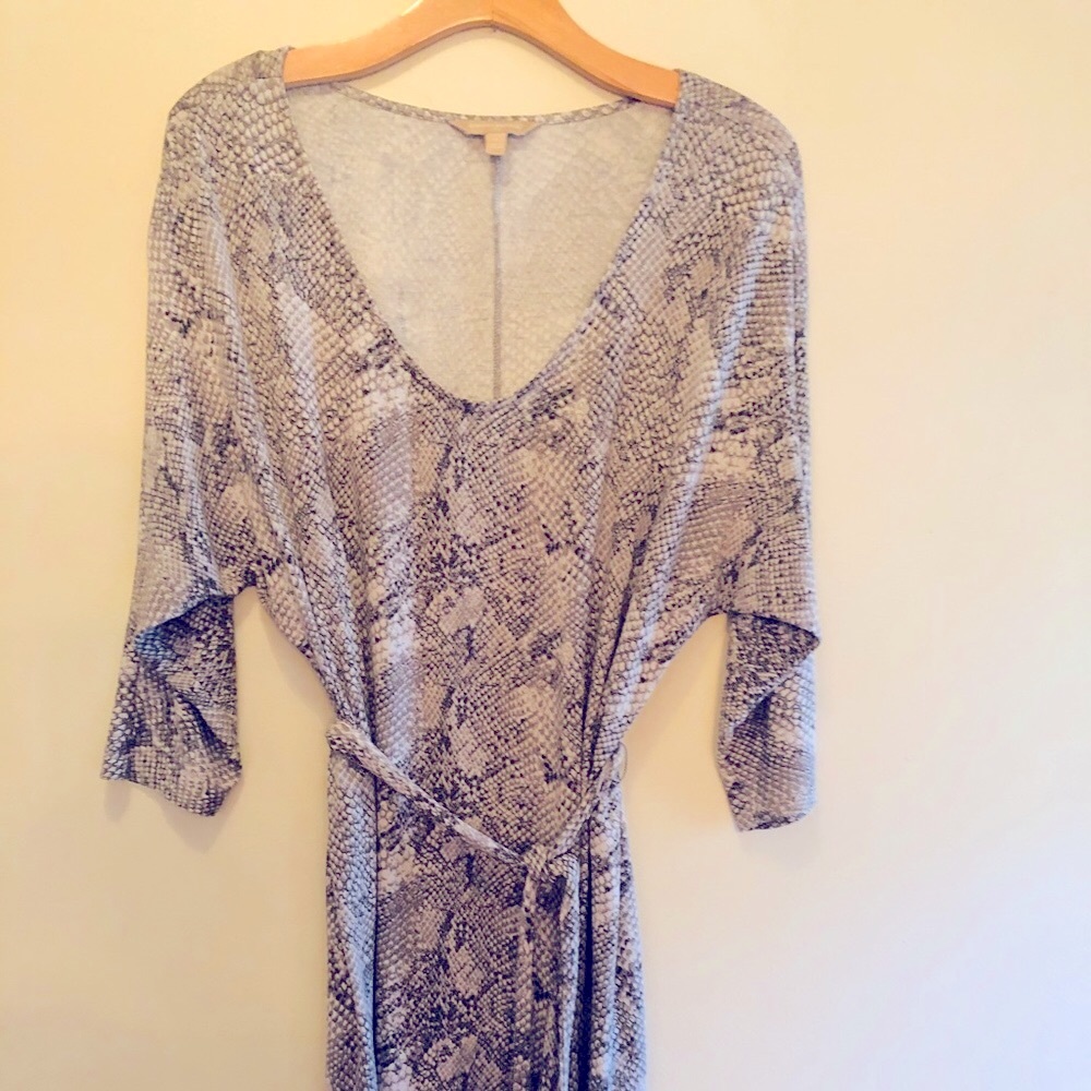 Banana Republic snake print dress.